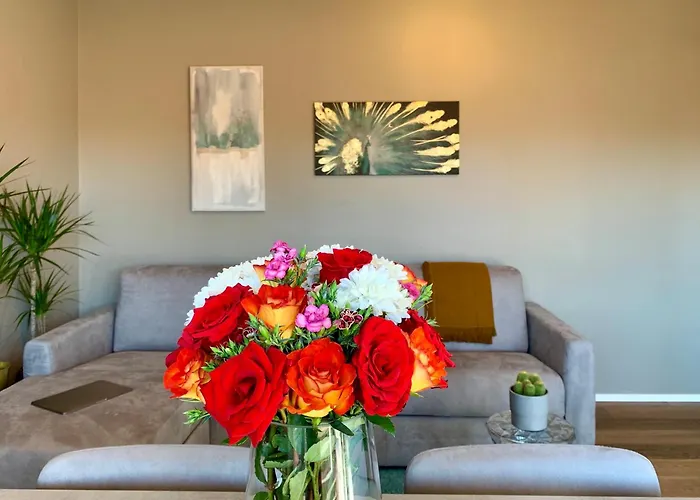 Apartman Live - Via Madonetta *